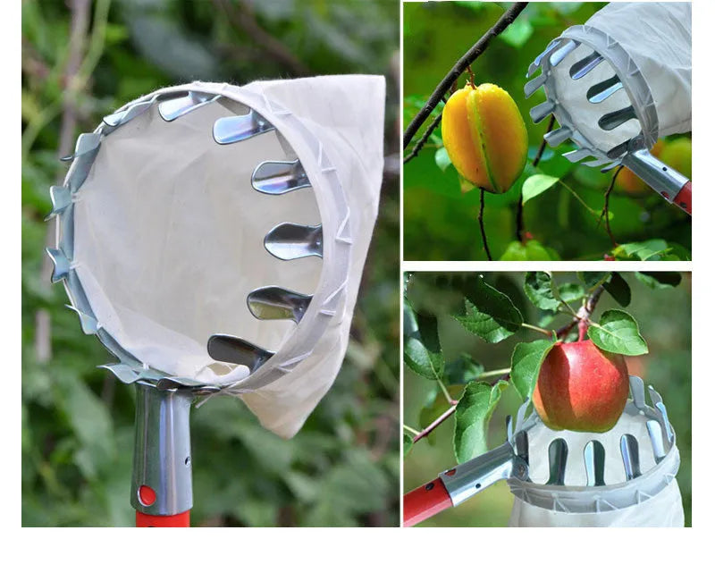 Steel frame fruit picker basket with cloth bag catcher for garden fruit harvesting