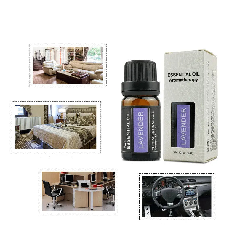 10ml essential oil bottle with single plant distilled fragrance, suitable for home car hotel use, multiple scents available