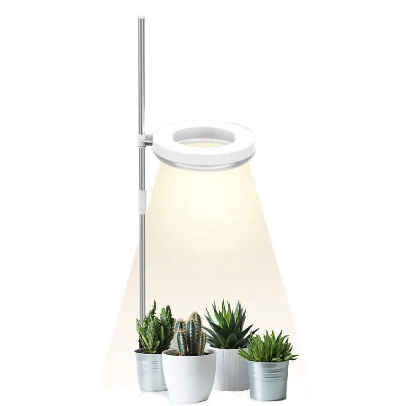 Compact desk plant growth light with full spectrum LED lighting options