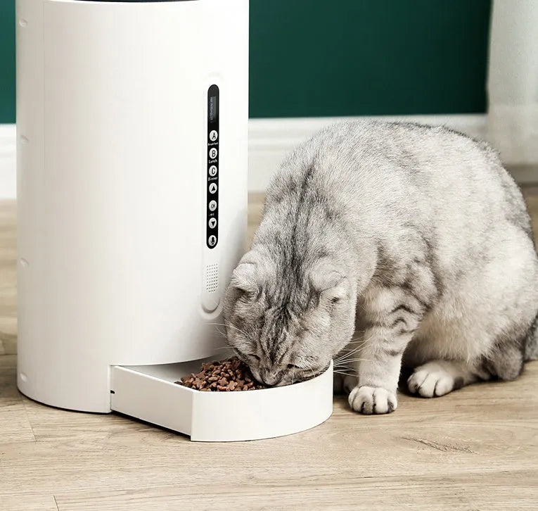 White smart pet feeder with 4.6L granary and timed dispensing on a countertop