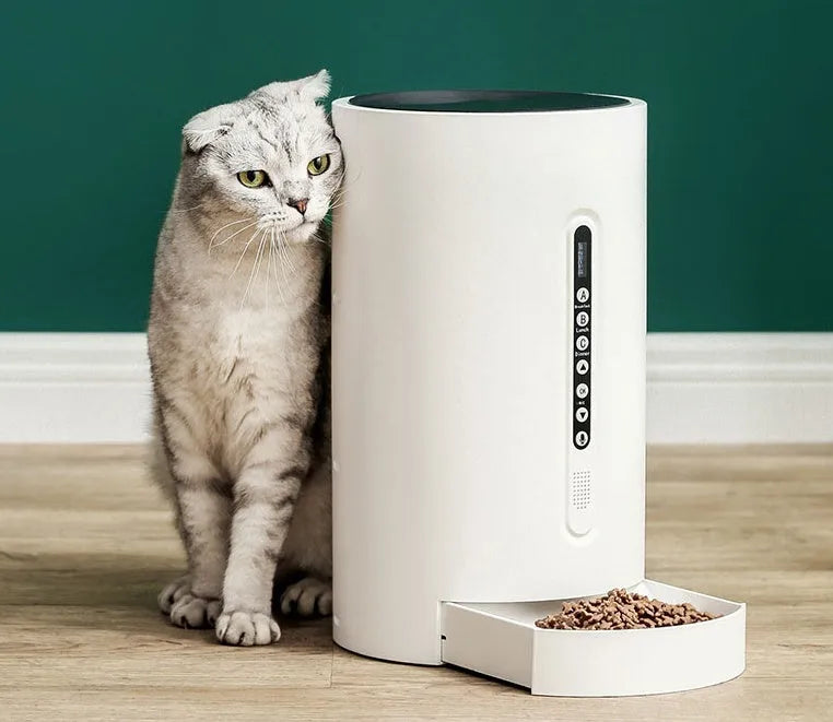 White smart pet feeder with 4.6L granary and timed dispensing on a countertop