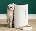 White smart pet feeder with 4.6L granary and timed dispensing on a countertop
