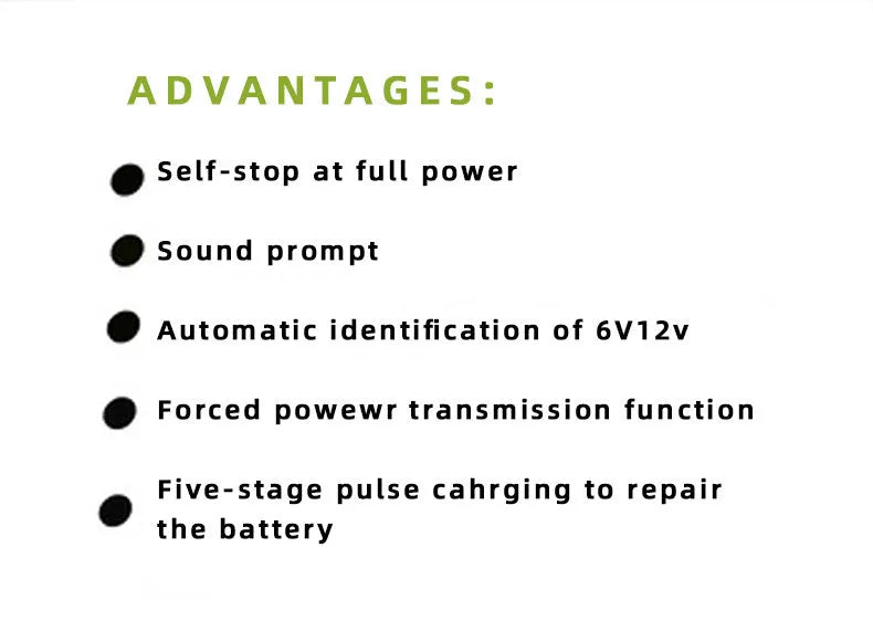 BT 168 automobile battery charger for 12V24V lead acid batteries with American Standard plug