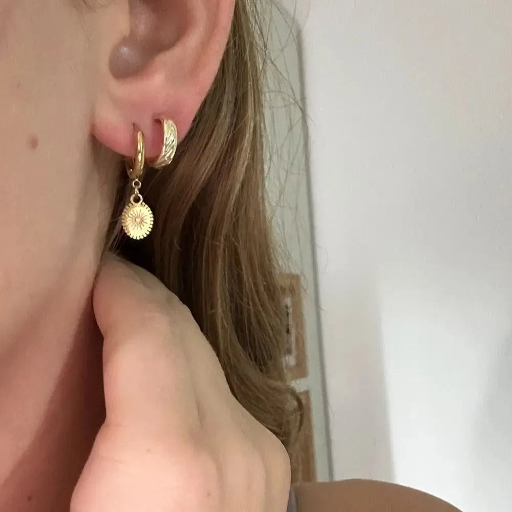 Geometric elliptical stainless steel earrings with an ear button fastening on a white background.