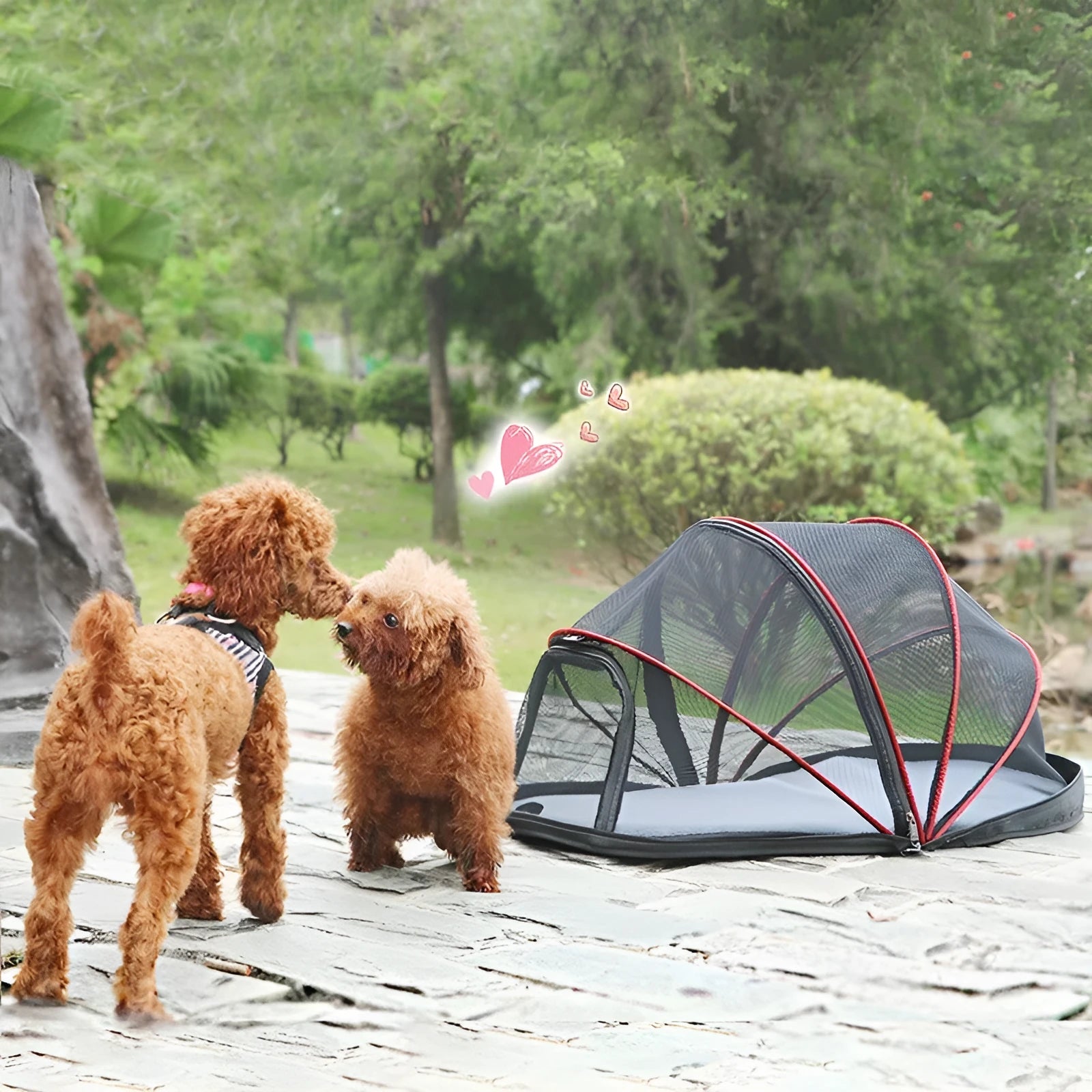 Foldable cat tent with half-mesh panels in black and blue colour options