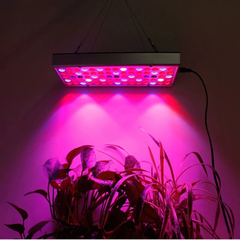 25W LED plant supplement light with 75 LEDs and steel hanging kit for greenhouse seedling use