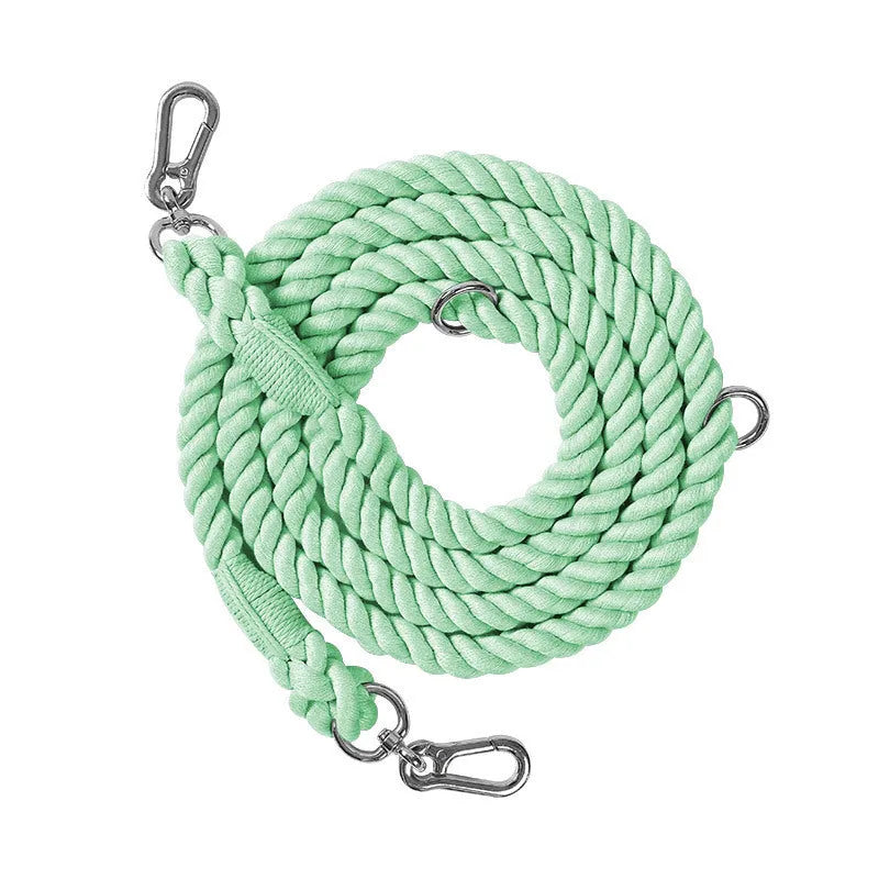 Woven rainbow dog leash on a green background showing double-headed design and silver metal accessories
