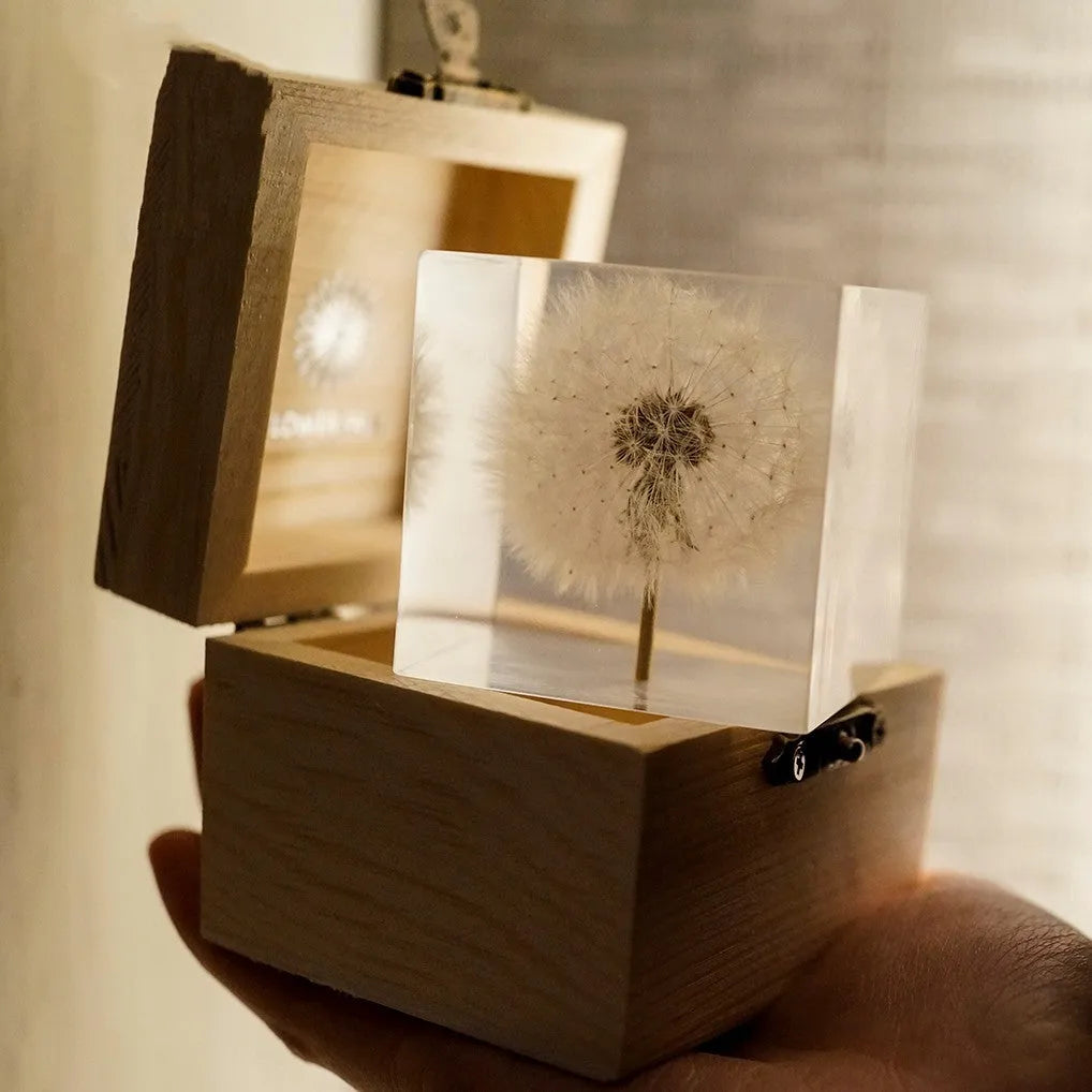 Dandelion preserved in a clear 5cm resin cube on a wooden box with USB charging base for tabletop decoration