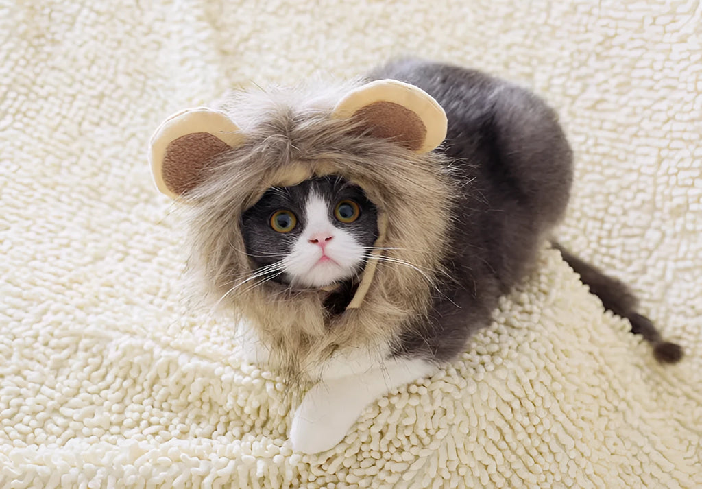 Non-woven lion headgear cat hat in yellow, front view, on a light background