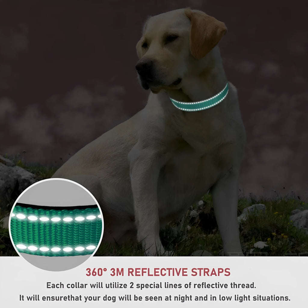 Dog adjustable chest strap dog collar in nylon, available in multiple colours and sizes from XS to XL