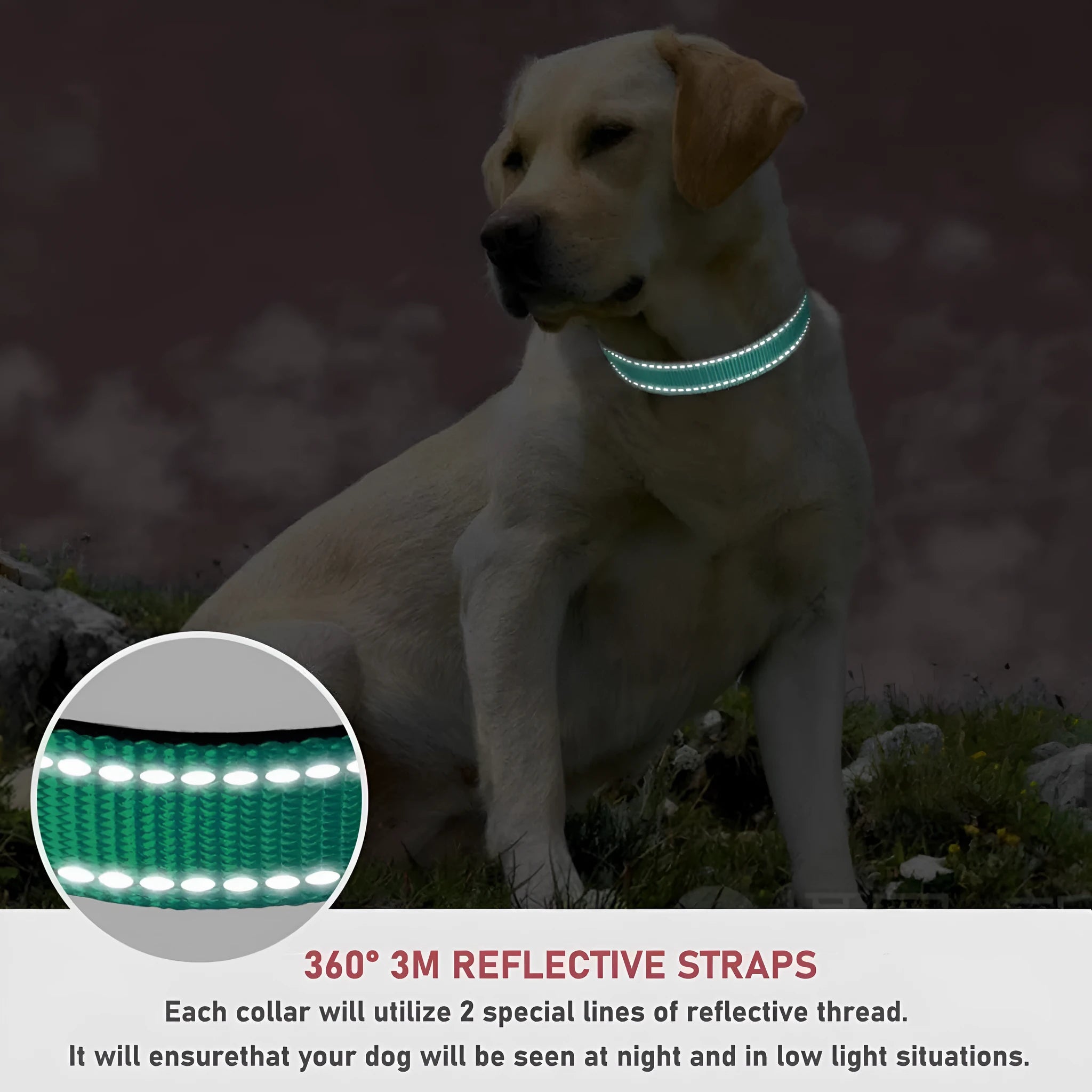 Dog adjustable chest strap dog collar in nylon, available in multiple colours and sizes from XS to XL