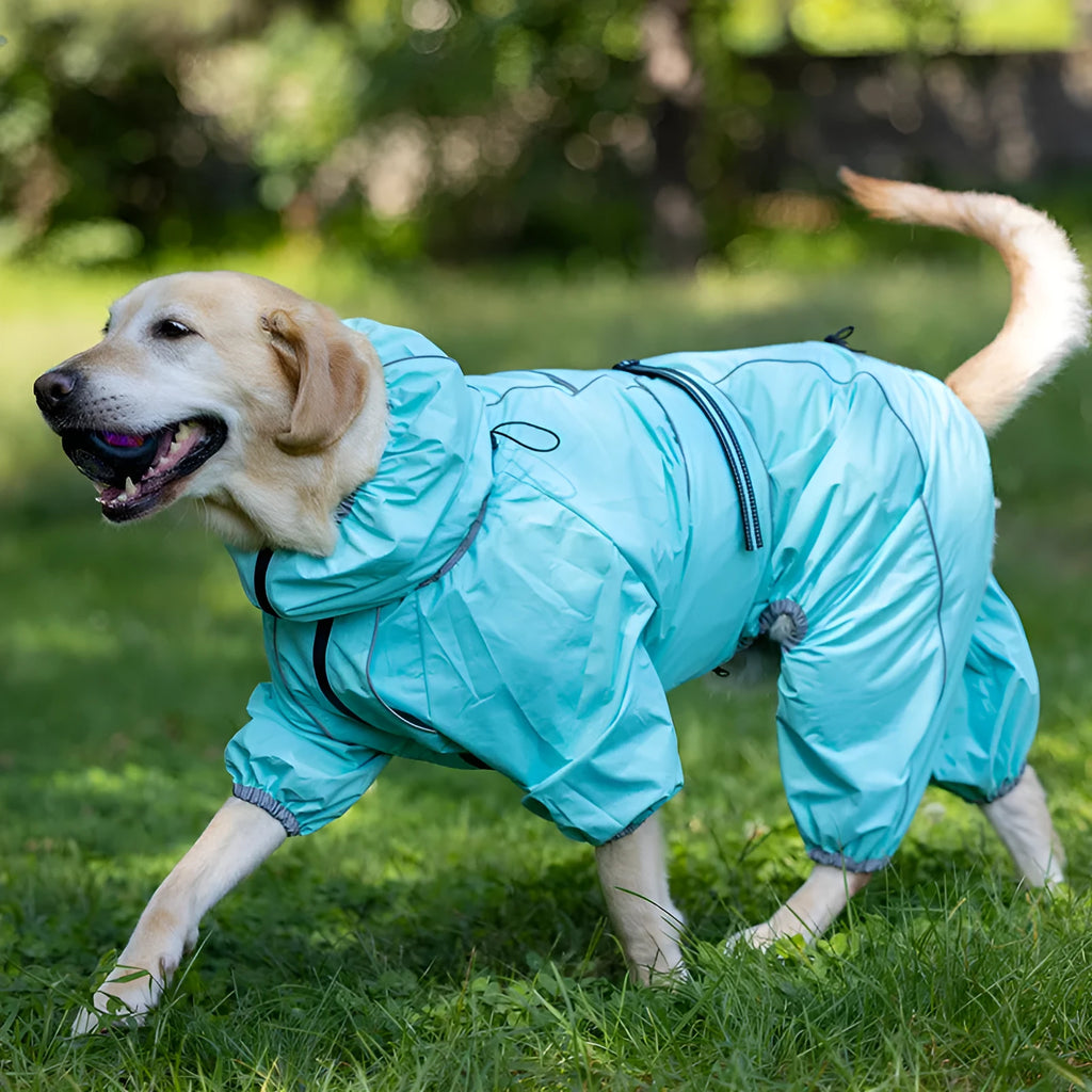 Dog shell jacket cotton-padded in red colour on a white background
