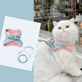 Blue orange stitching cat harness with reflective suede chest strap and 1.5 metre traction rope on a cat
