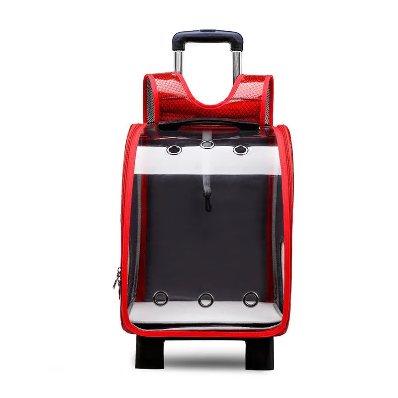 Transparent folding pet trolley bag for small dogs and cats with shoulder straps