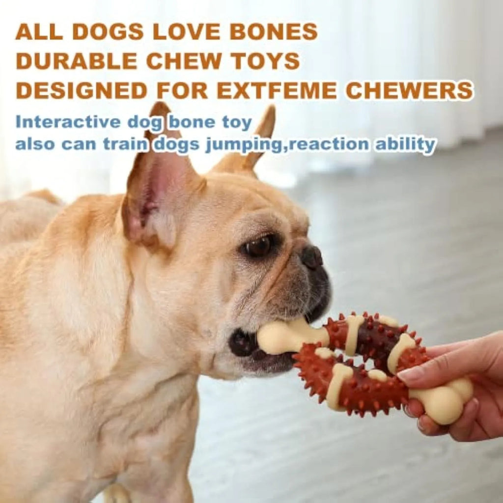 Natural rubber bone-shaped dog molar toy for teeth cleaning in two sizes