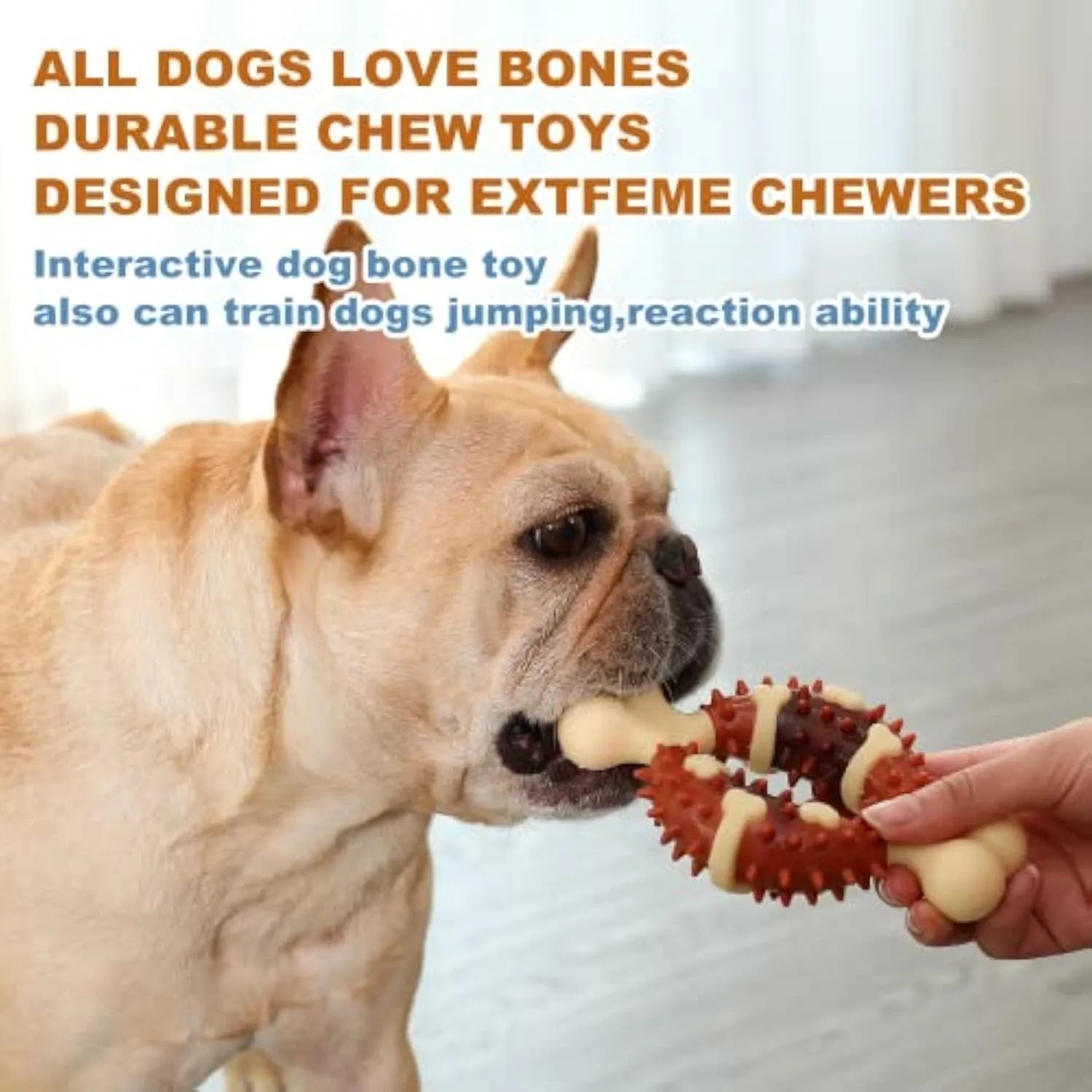 Natural rubber bone-shaped dog molar toy for teeth cleaning in two sizes