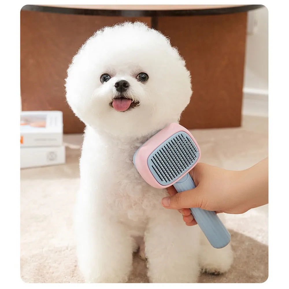 Blue double-sided pet grooming brush with deshedding teeth and dematting comb, 195mm long