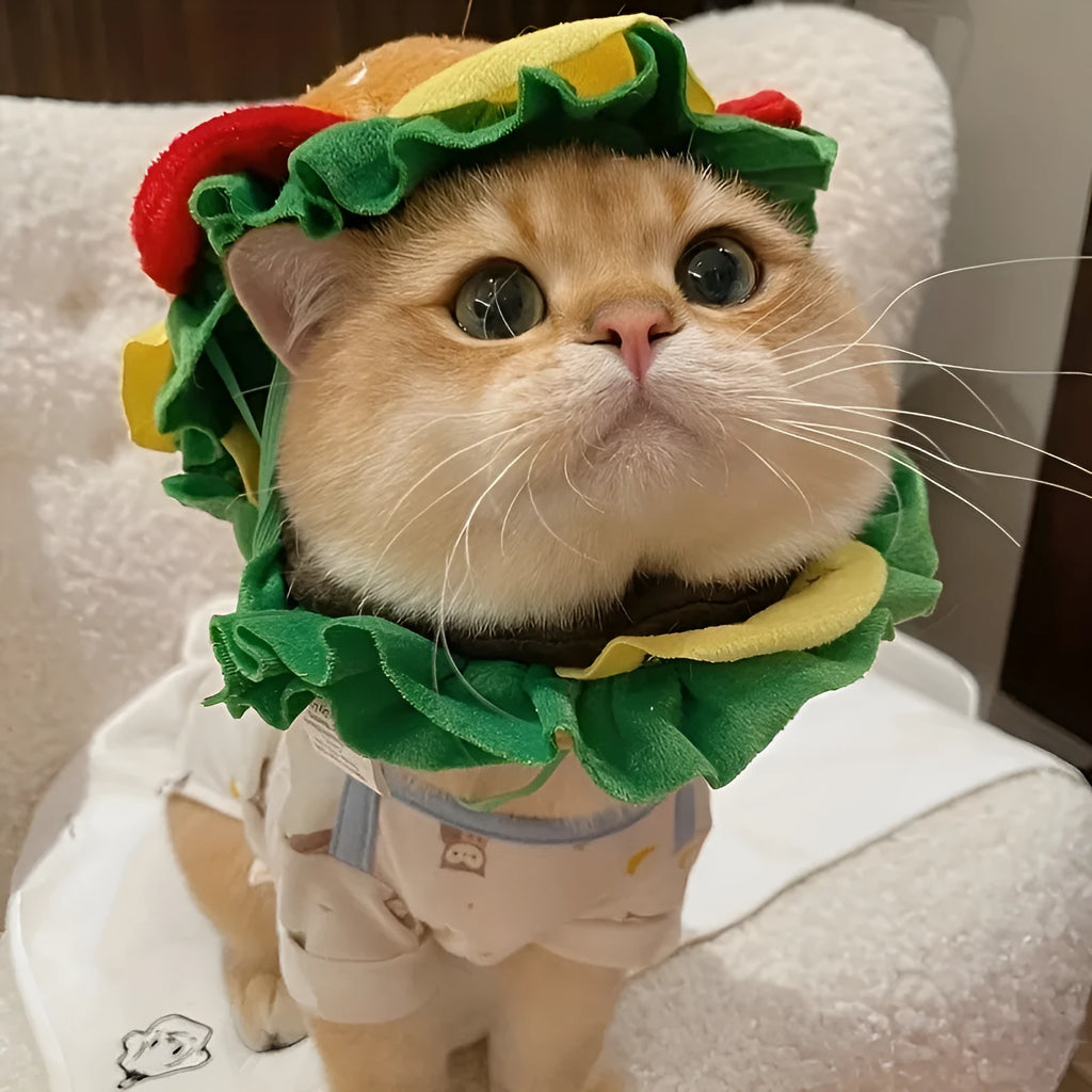 A cat wearing a soft, colourful burger hat collar as an alternative to a plastic cone.