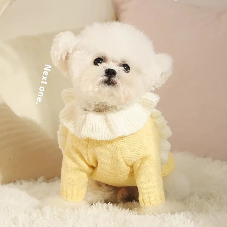 Autumn pet puppy sweater in acrylic, yellow XINGX style, for small dogs, size XS-XL