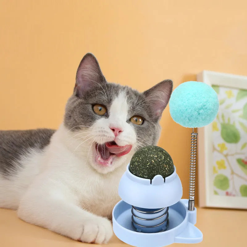 55mm mint ball cat toy in blue, orange, or pink with rotating centrepiece