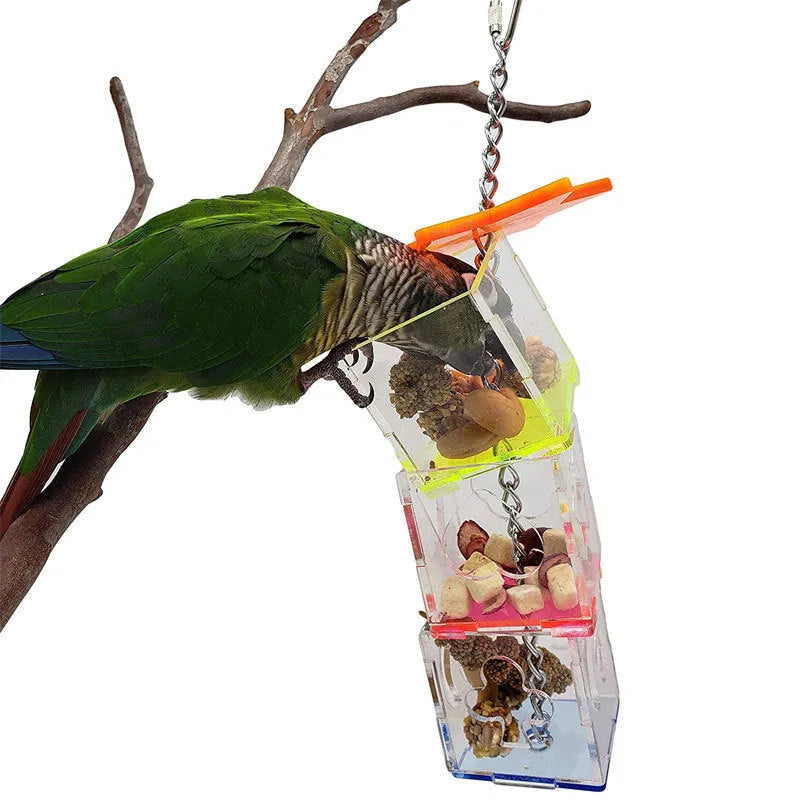 Clear acrylic bird foraging toy measuring 5x5x32 cm for parrots with fruit inside