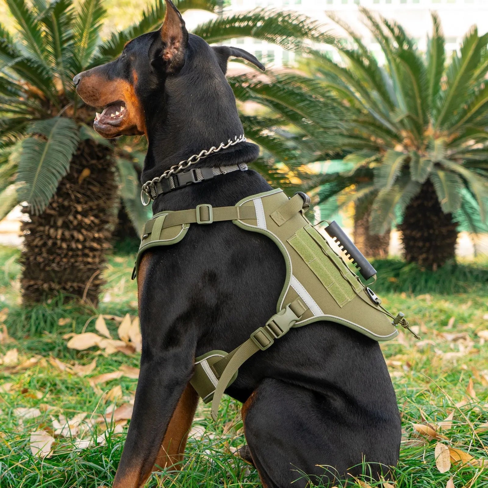 Tactical dog harness vest made from breathable polyester with hand holding rope and reflective strip in army green colour