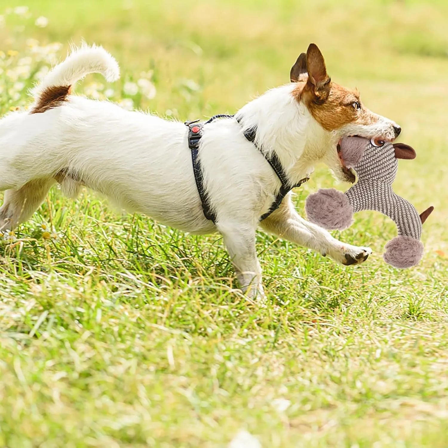 Large dog squeaky stuffed plush toy in monkey colour for medium to large breed dogs
