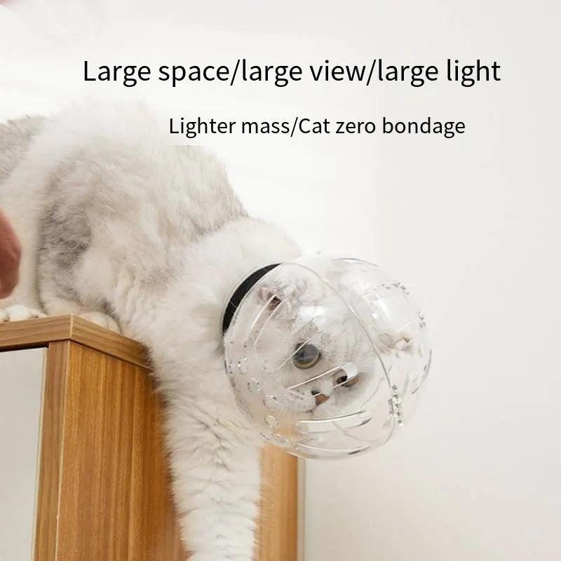 Transparent PP plastic cat muzzle anti-bite space hood with adjustable Velcro, size M L XL for grooming and post-surgery care