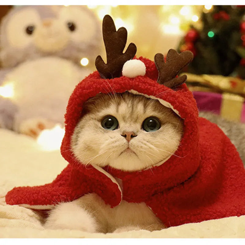 Red polar fleece antlers hat cloak for small to medium pets, with hood and antler details