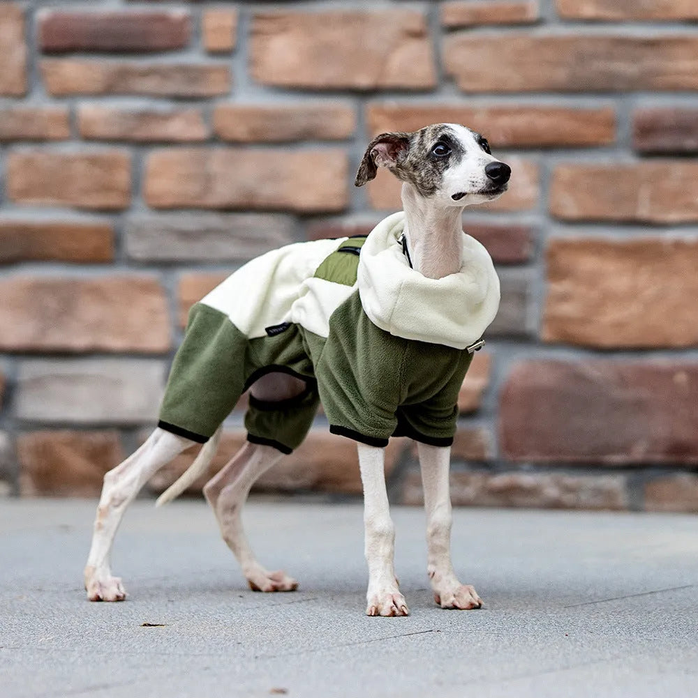 Pet warm collar detachable windproof four-leg clothes in polar fleece Argy Wormwood Green colour