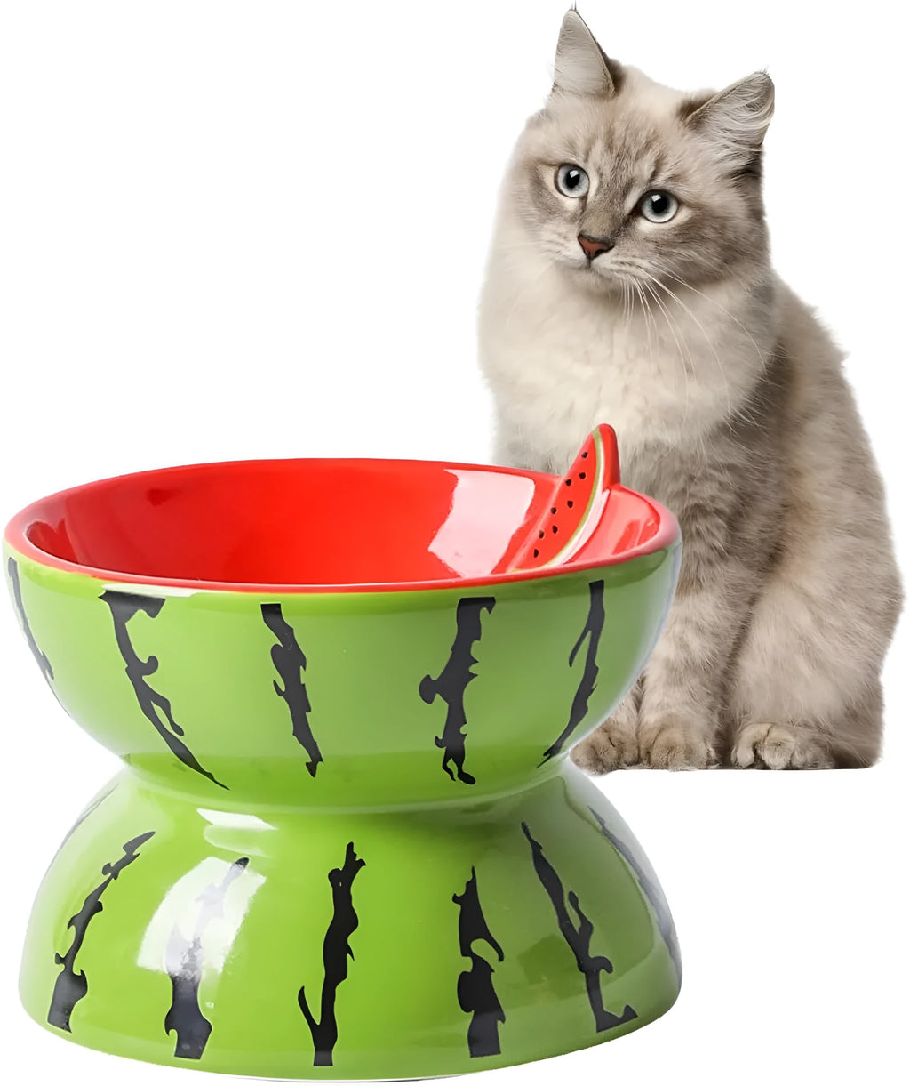 Ceramic elevated cat bowl with a tilted, widened dish and decorative pattern on a white background.