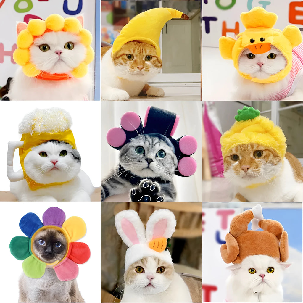 Cute pet headgear sunflower cat headdress wig hat with embroidery cloth free size