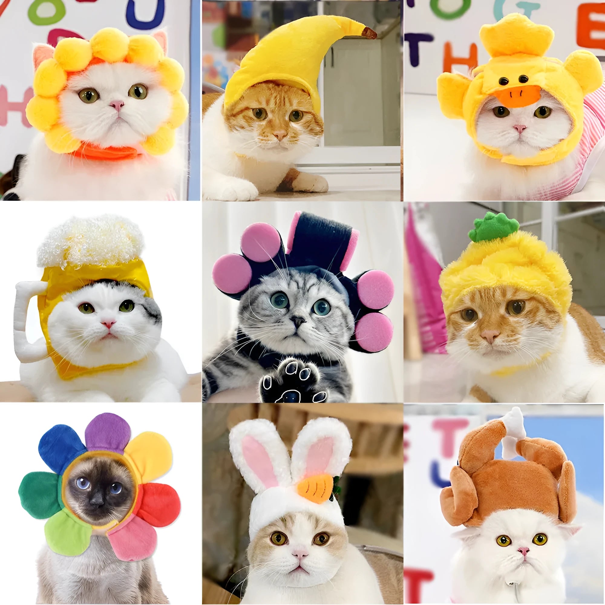 Cute pet headgear sunflower cat headdress wig hat with embroidery cloth free size