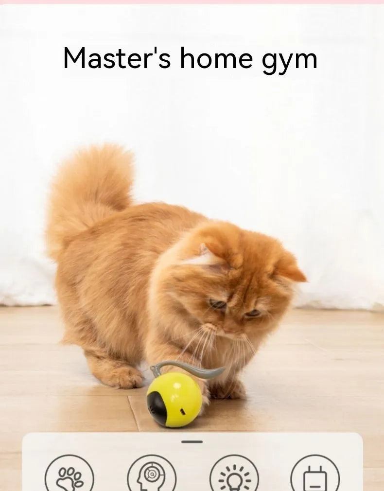 Electric cat toy ball in cloudy blue and milky white yellow plastic for interactive rolling play
