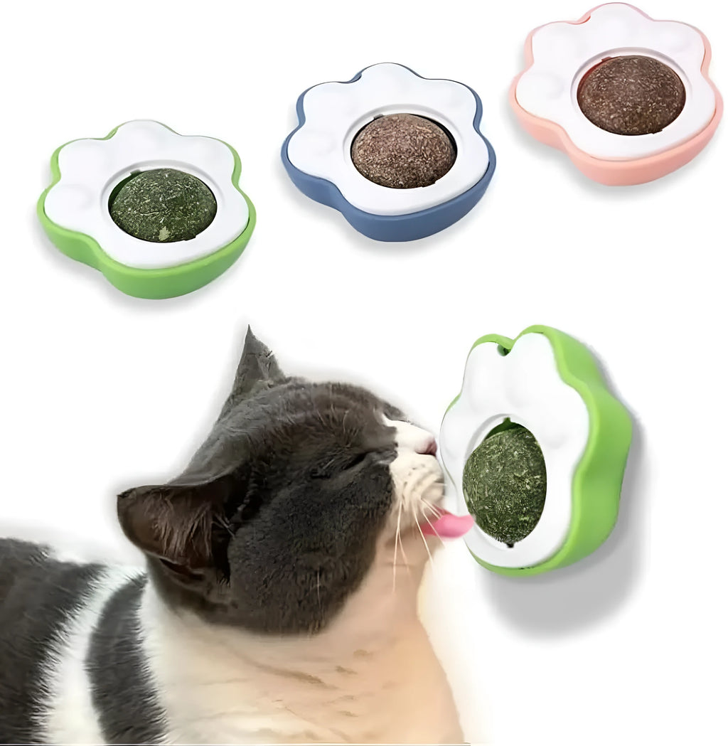 Four catnip dental chew balls in blue, green, pink colours for feline teeth cleaning