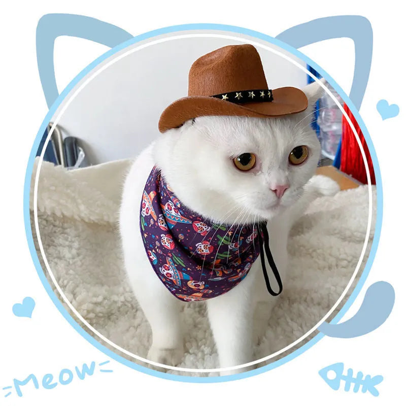 Cat wearing a black star cowboy hat made of soft non-woven fabric, standing outdoors