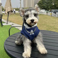 Blue and white reflective letter pet hoodie for dogs and cats