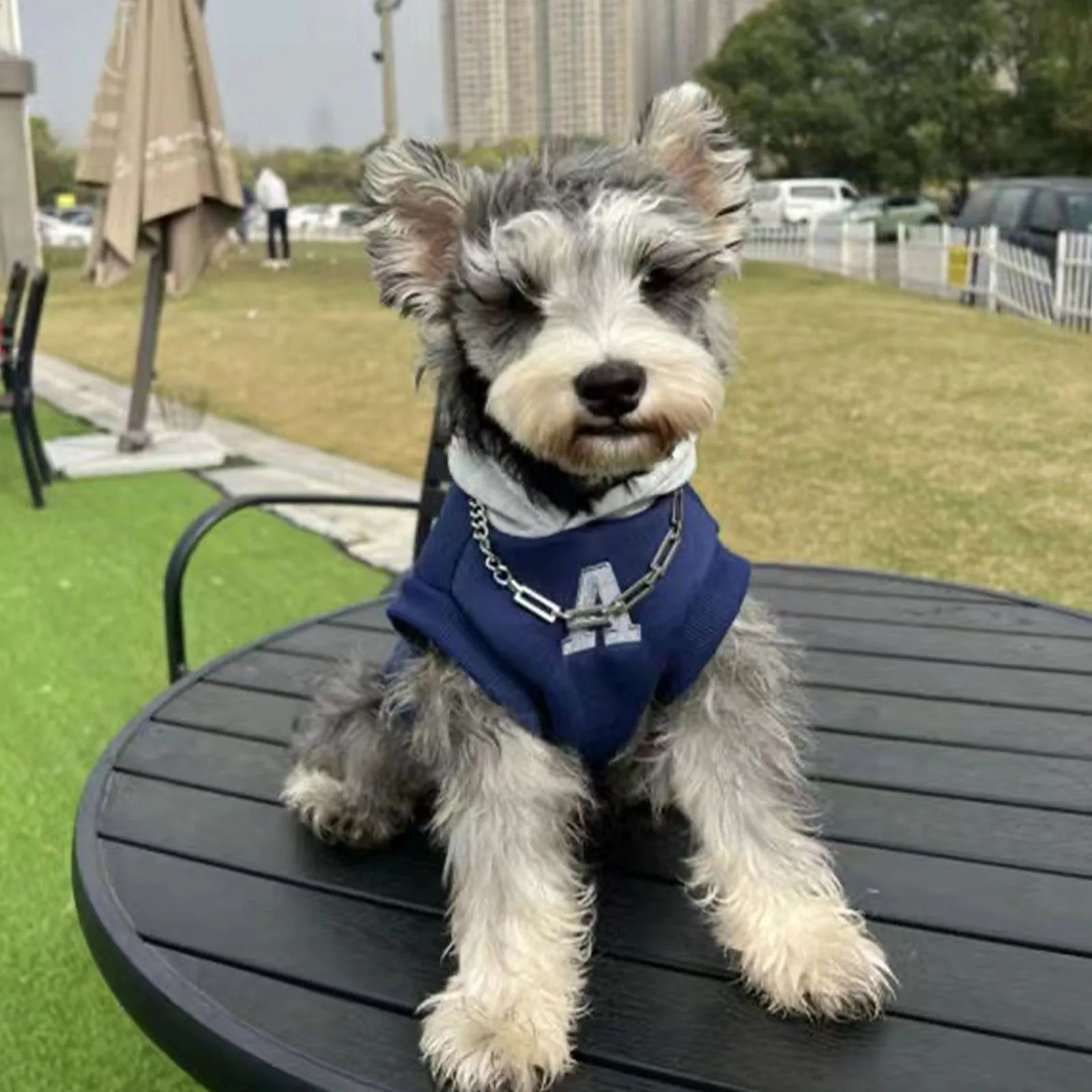 Blue and white reflective letter pet hoodie for dogs and cats