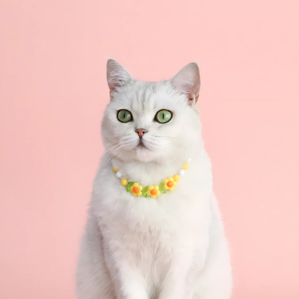 Colourful plastic bead pet necklace for dogs and cats in small flower, rainbow, or peach patterns.