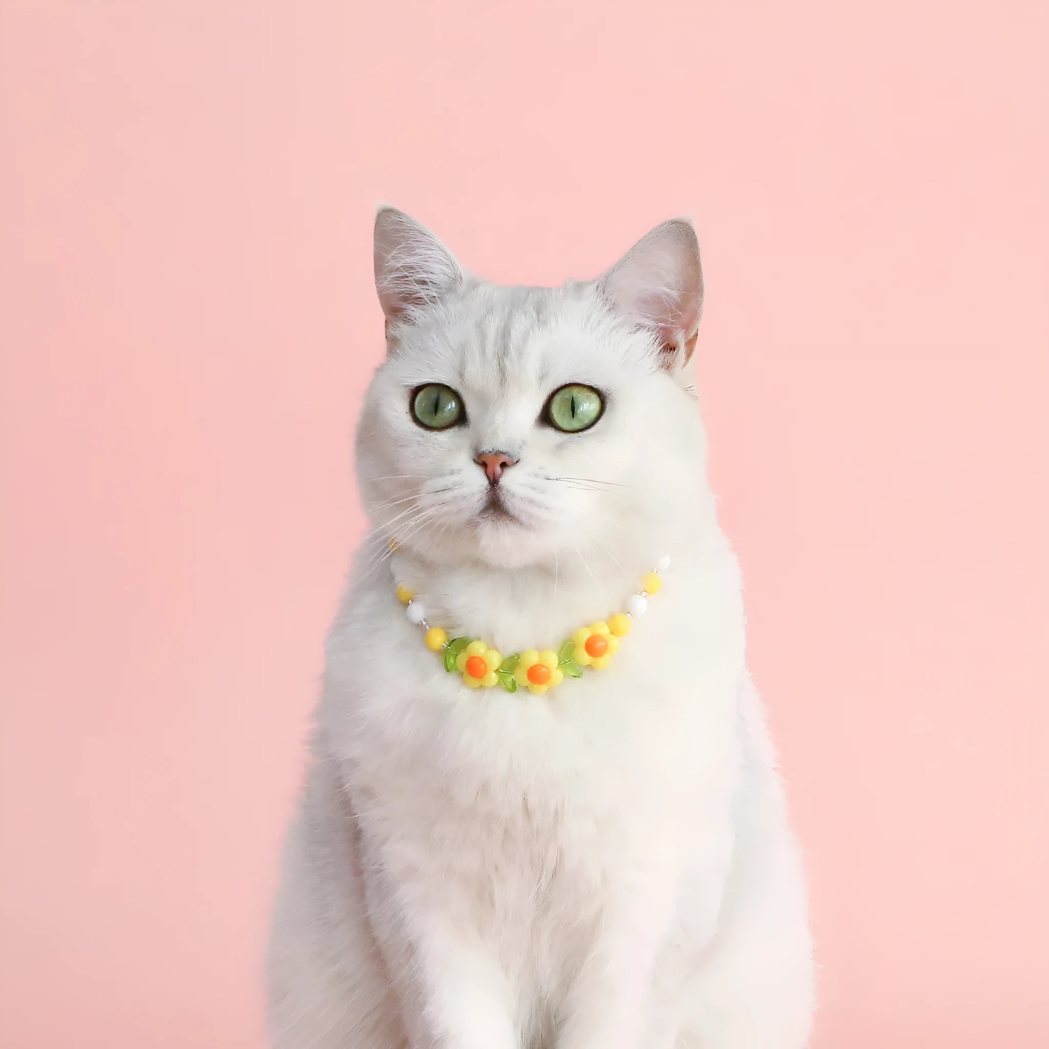 Colourful plastic bead pet necklace for dogs and cats in small flower, rainbow, or peach patterns.