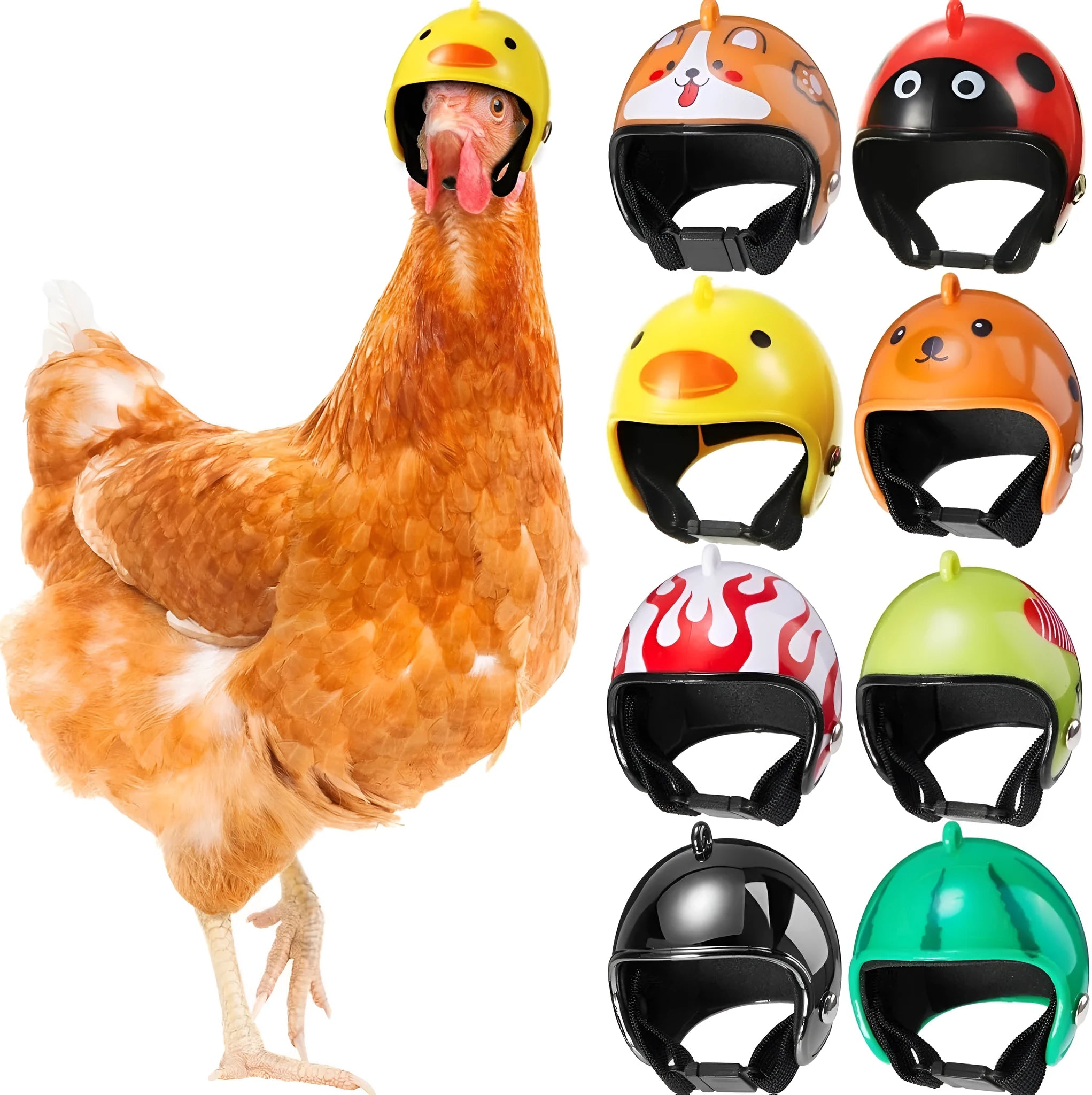 Small pet helmet for chicken and bird protection with adjustable elastic bands