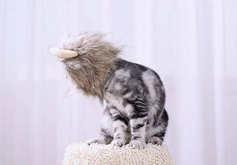 Non-woven lion headgear cat hat in yellow, front view, on a light background