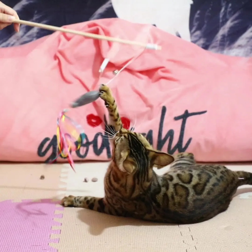 Cat wand toy with colourful ribbons, catnip fish, and bell on natural wooden handle
