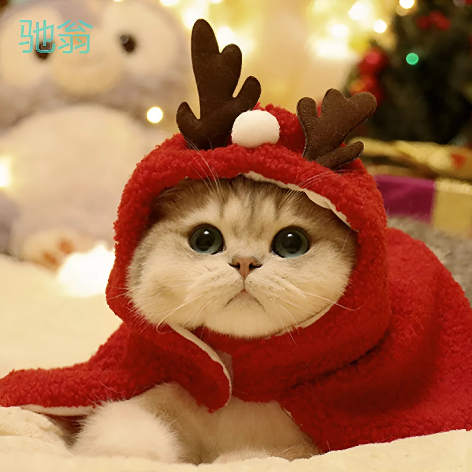 Red polar fleece antlers hat cloak for small to medium pets, with hood and antler details