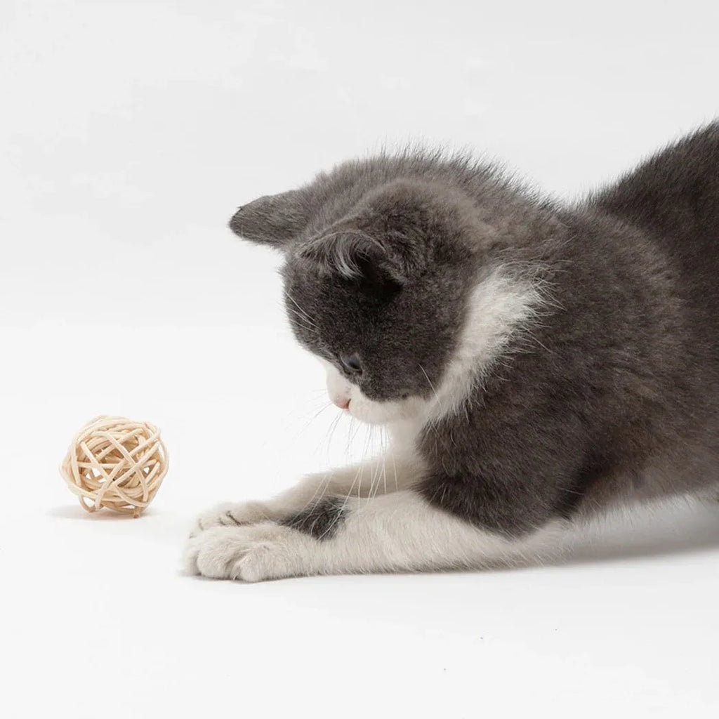 Cat toy set showing rattan ball with bell and faux feather ball on neutral background