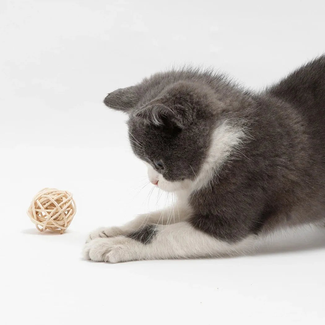 Cat toy set showing rattan ball with bell and faux feather ball on neutral background