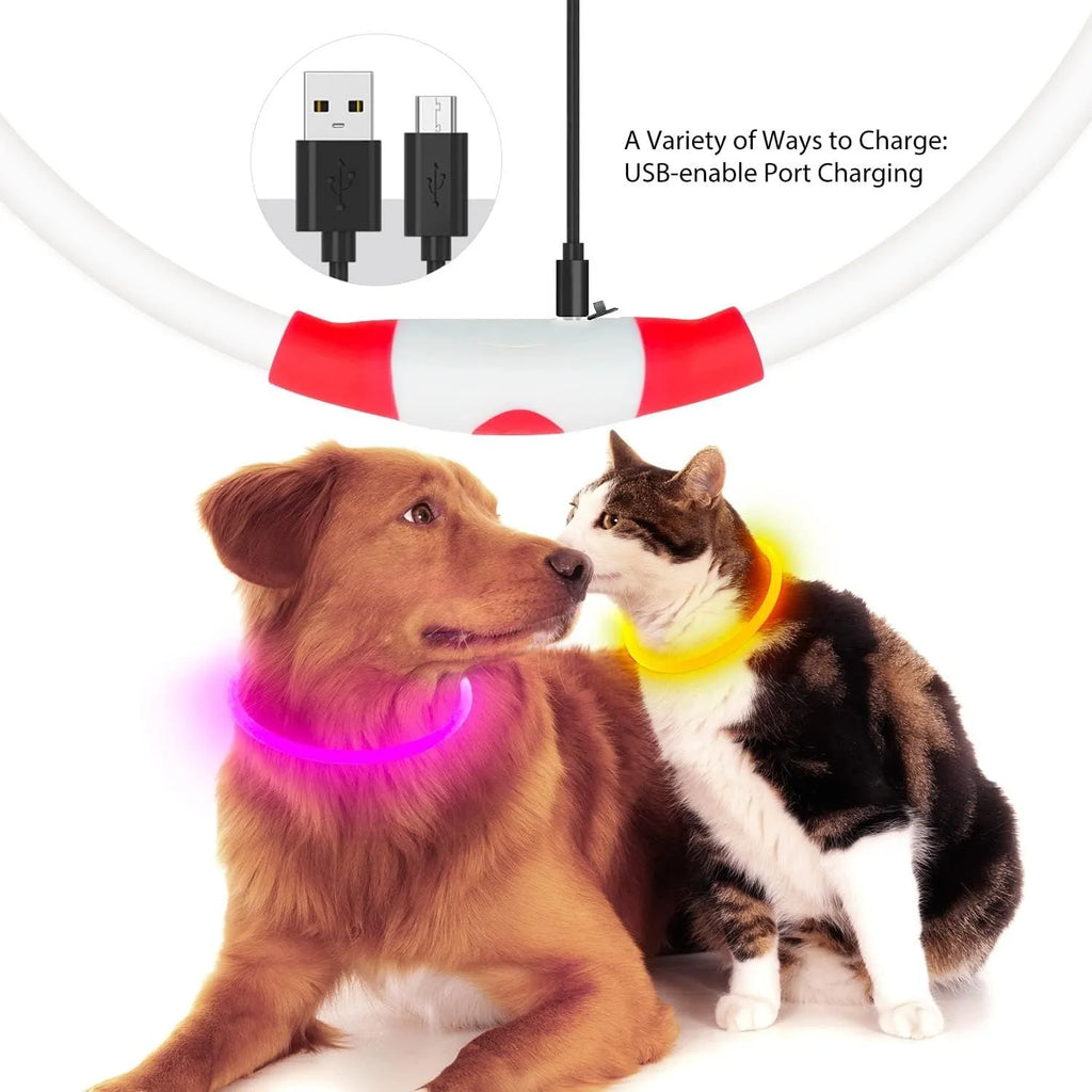 Blue USB rechargeable LED dog collar glowing with 360-degree visibility for nighttime pet safety