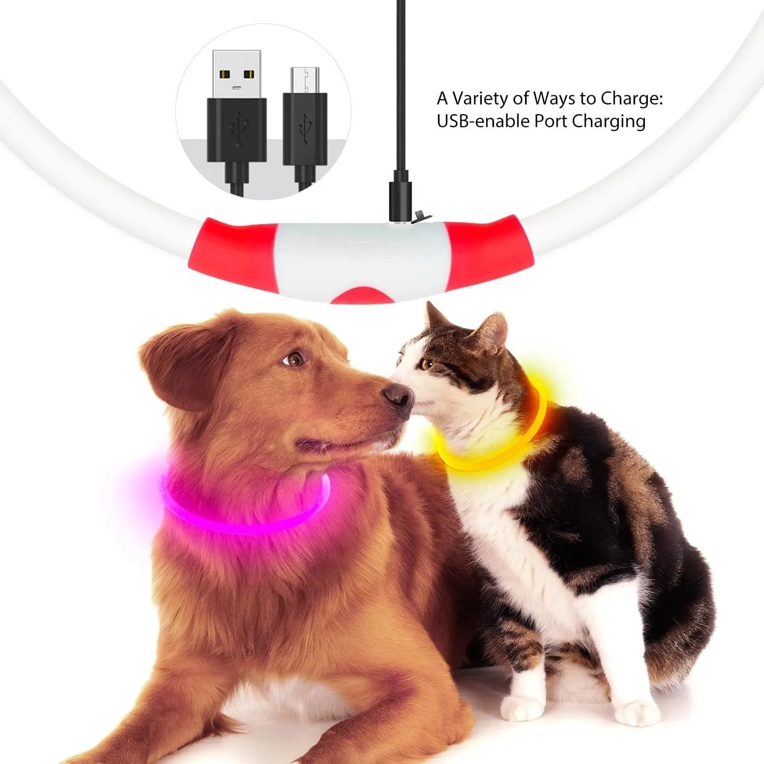 Blue USB rechargeable LED dog collar glowing with 360-degree visibility for nighttime pet safety