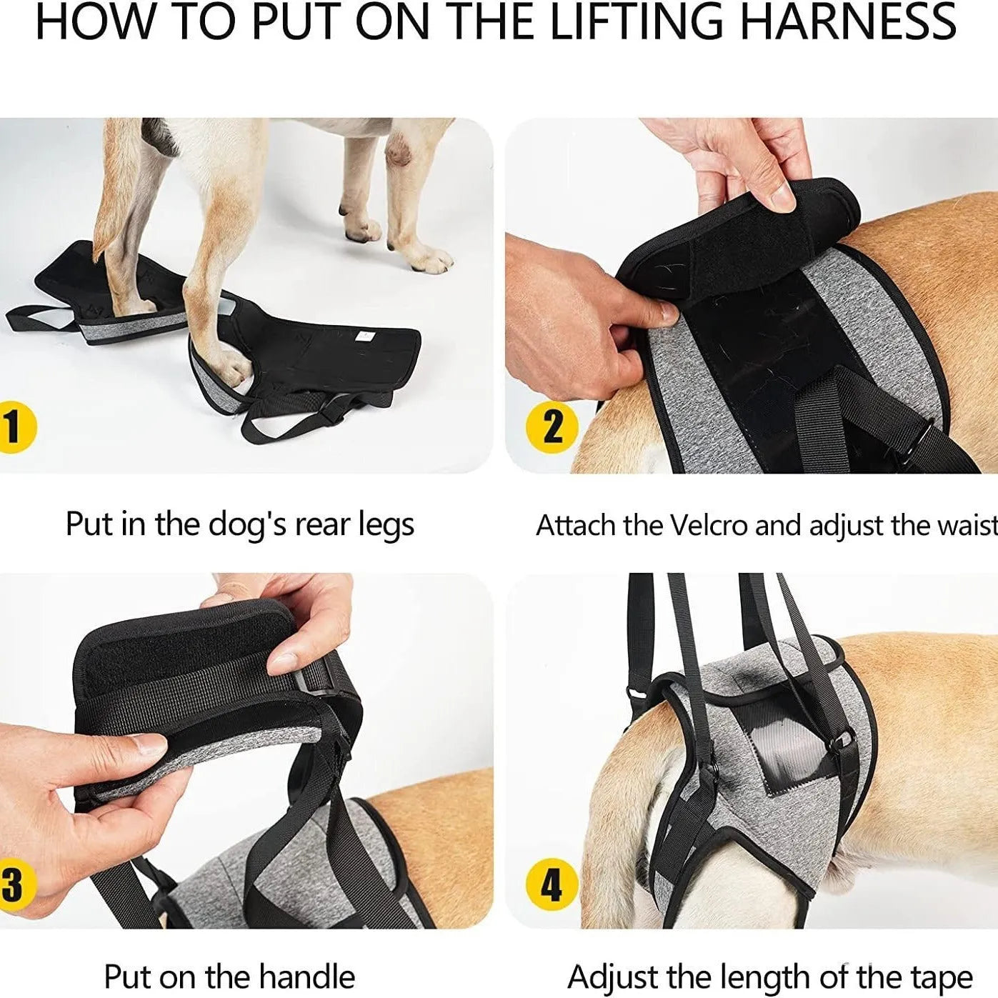 Grey adjustable neoprene dog rear leg recovery belt for hind leg support and mobility assistance