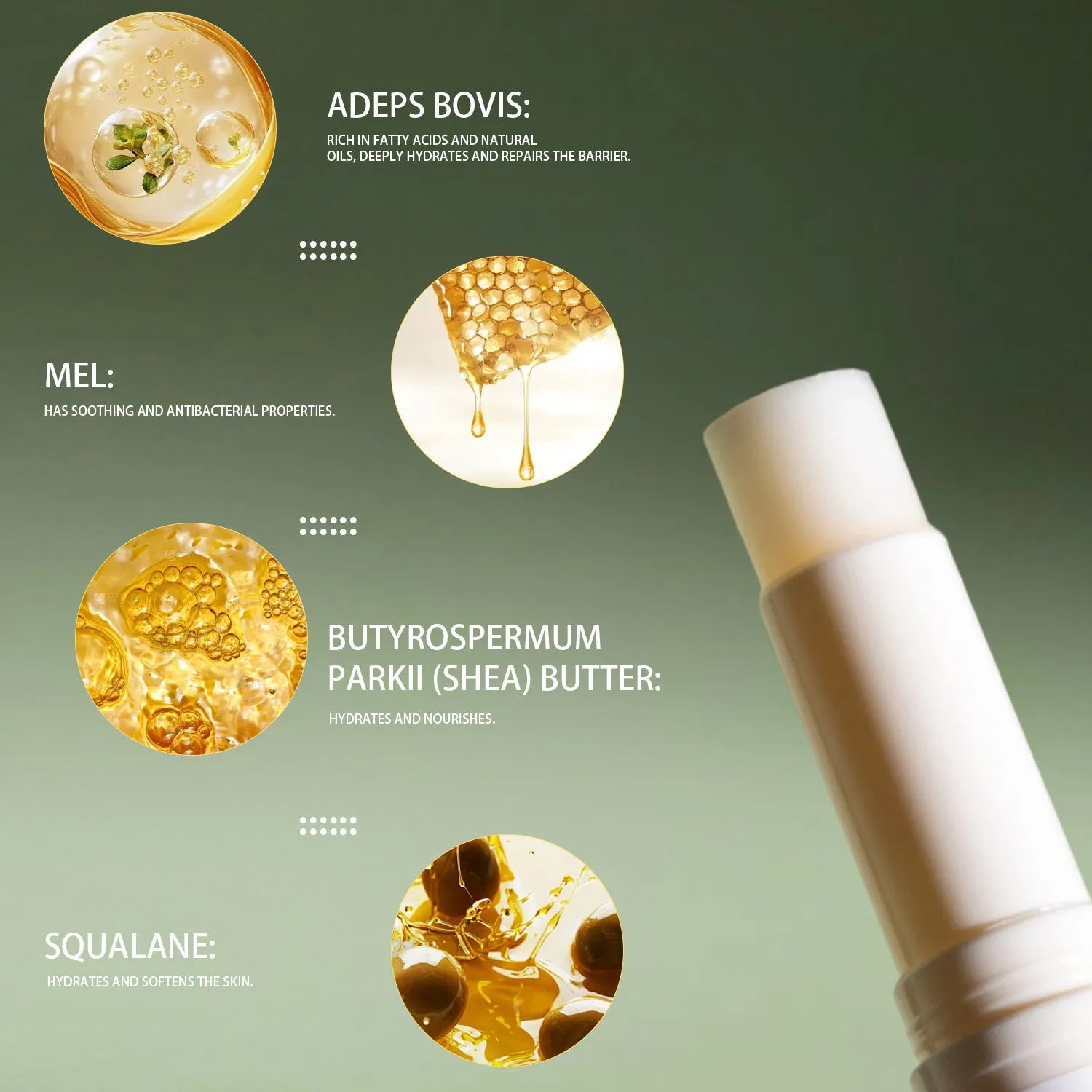 Tallow lip balm in a dark plastic tube with a silver cap, 5g size, on a plain background